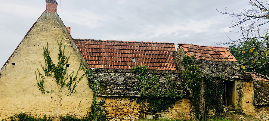 ruined stone farmhouse covered with ivy in the middle of the meadow